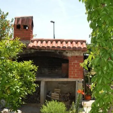 Apartment Apartman Oliva